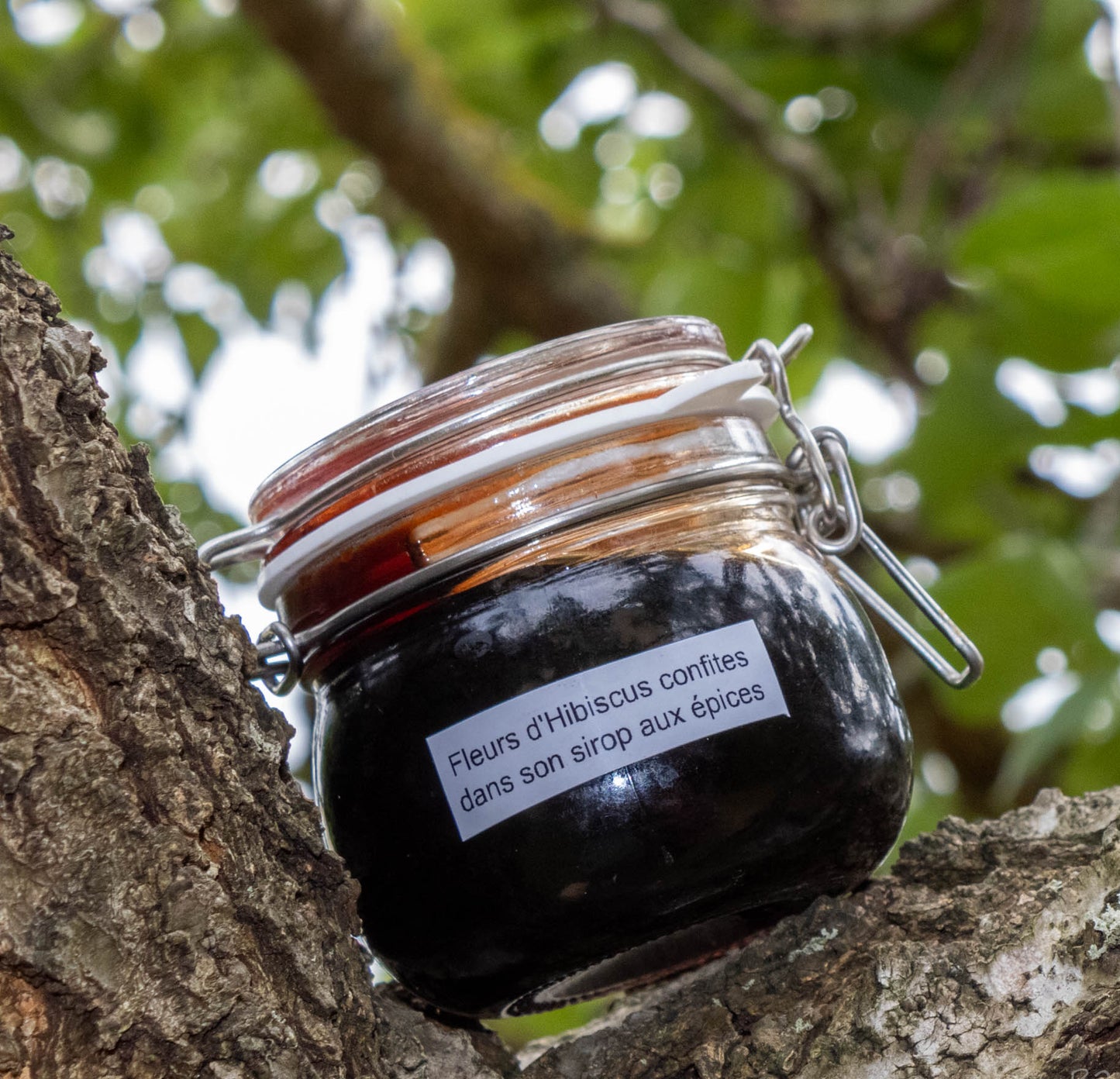 Fleurs d'Hibiscus confites dans son sirop aux épices